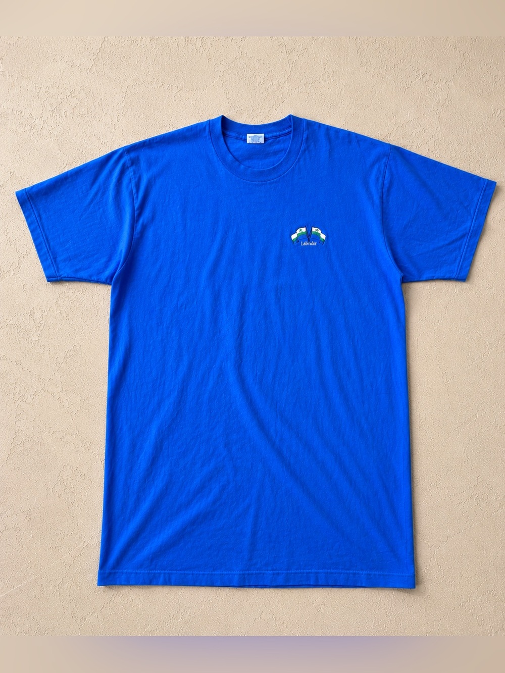 🇨🇦 VTG Single Stitch Fruit of the Loom Made in Canada XL Blue Y2K 90s Labrador